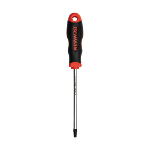 ΚΑΤΣΑΒΙΔΙ TORX ΜΕ ΤΡΥΠΑ MAXPOWER,  20x100mm BENMAN