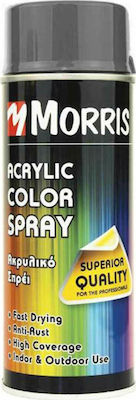 ΣΠΡΕЇ ΑΚΡΥΛΙΚΟ ΧΡΩΜΑΤΟΣ HIGH GLOSS 400ml (ΓΚΡΙ ΣΙΔΗΡΟΥ)