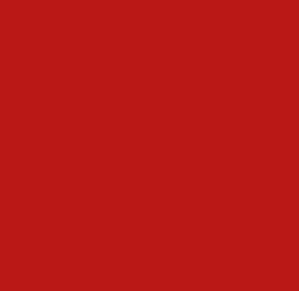 PELLACHROM METAL-X N.231  (RED-01/FERGUSON) GLOSS 750ml - second image