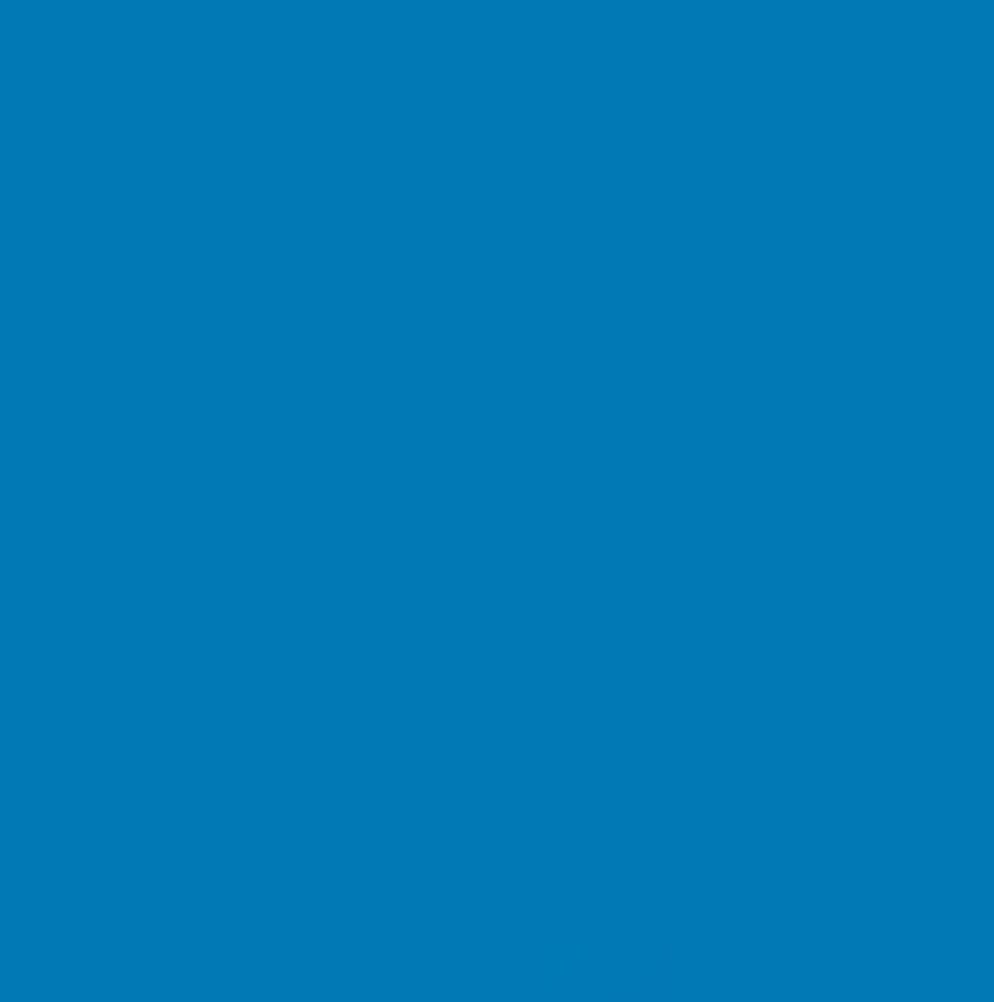 PELLACHROM METAL-X N.251  (LIGHT BLUE 5012) GLOSS 2.5Lt - second image