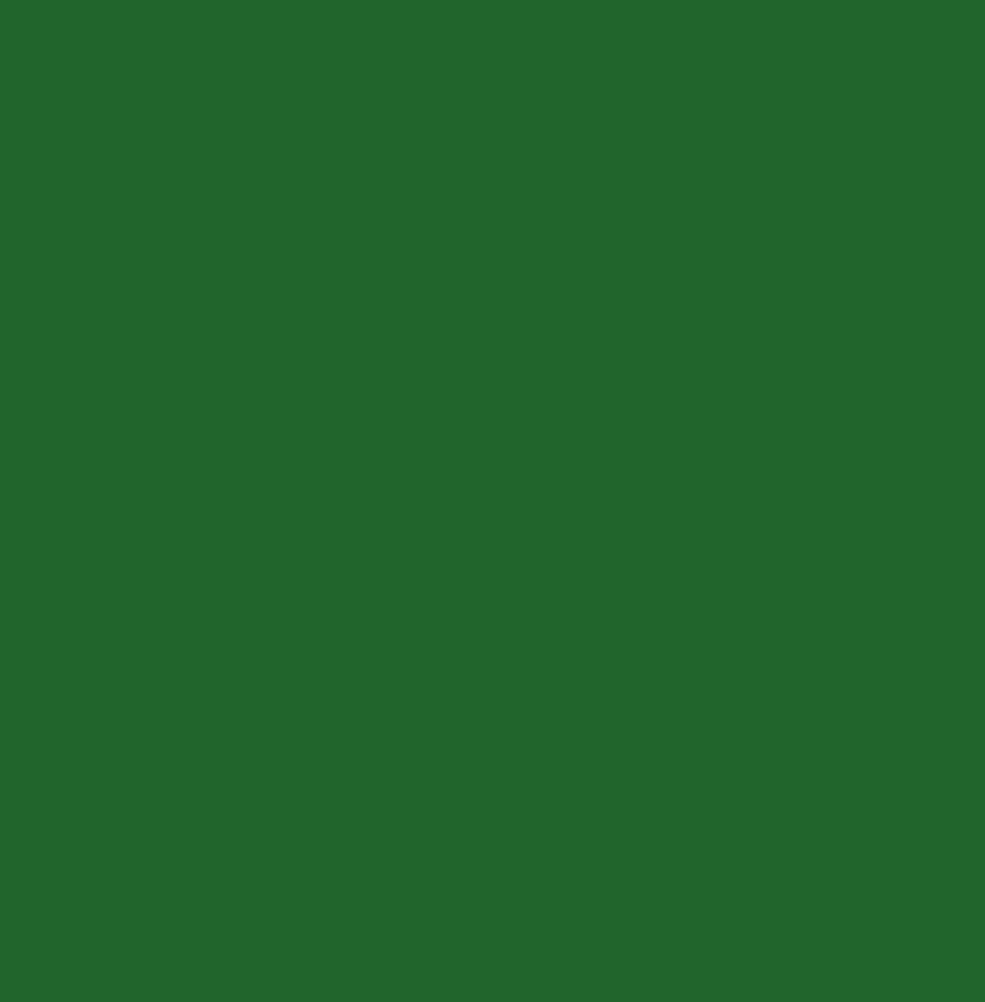 PELLACHROM METAL-X N.262  (JOHN DEERE) GLOSS 750ml - second image