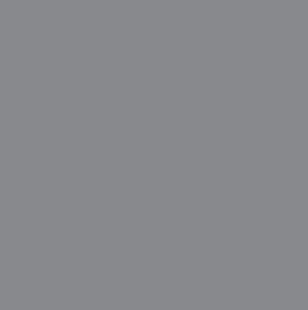 PELLACHROM METAL-X N.272  (7046 TELEGREY-2) GLOSS 750ml - second image